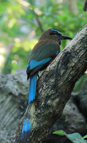 Anawilundawa Wetland Sanctuary