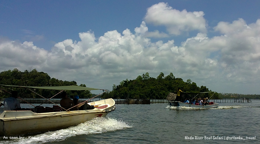 MADU RIVER SAFARI