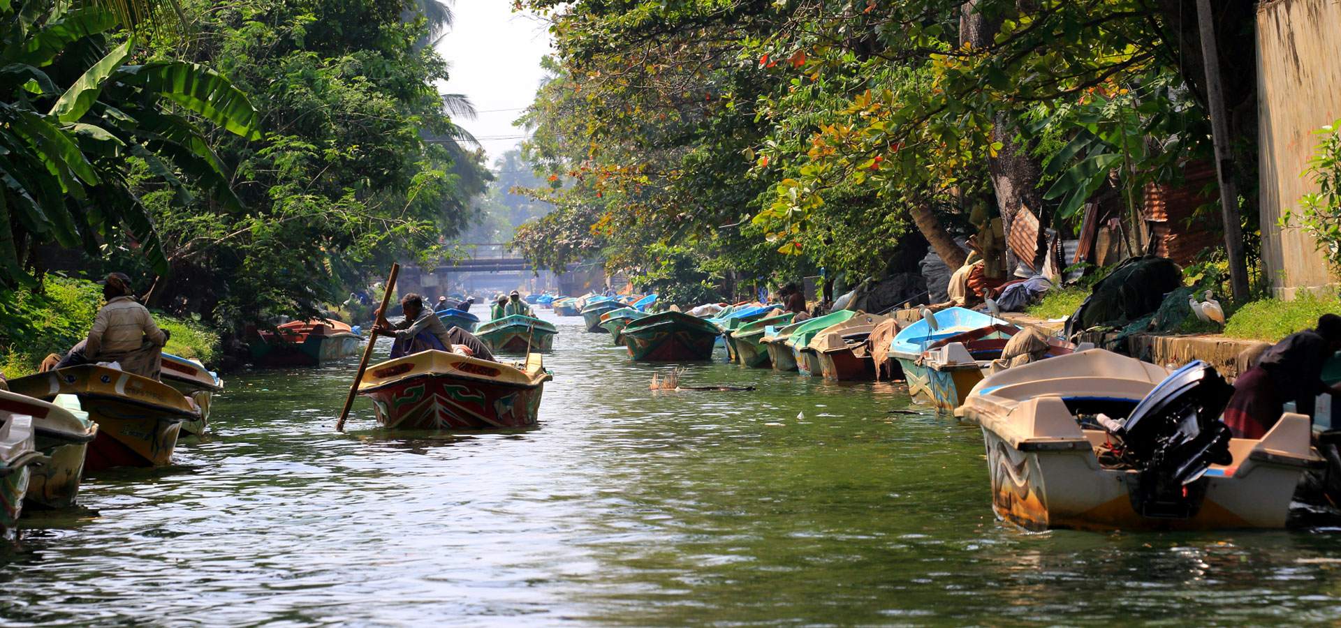 Maa Travel , Ayurveda Tours in Sri Lanka