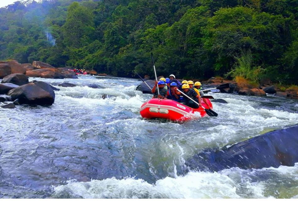 Maa Travel , Ayurveda Tours in Sri Lanka