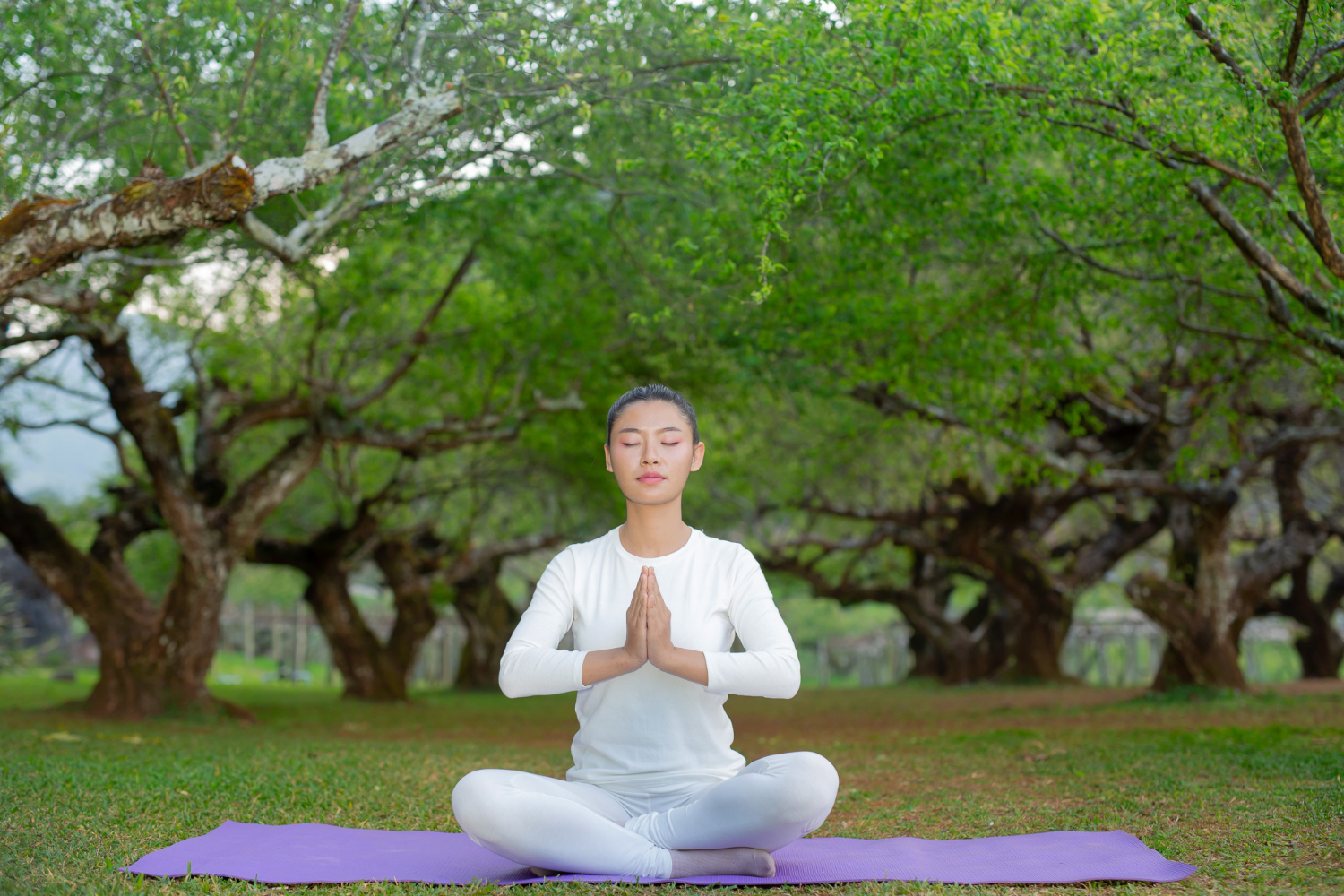 Meditation and Yoga