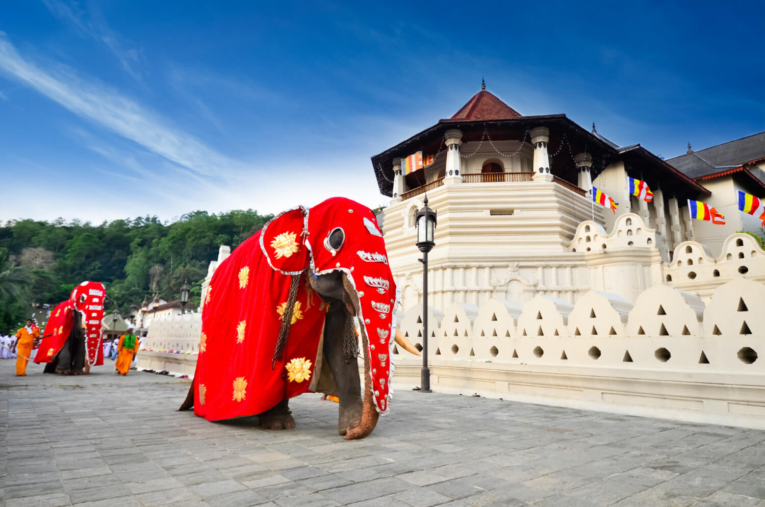 Enchanting Kandy: A Day of Culture, History, and Beauty