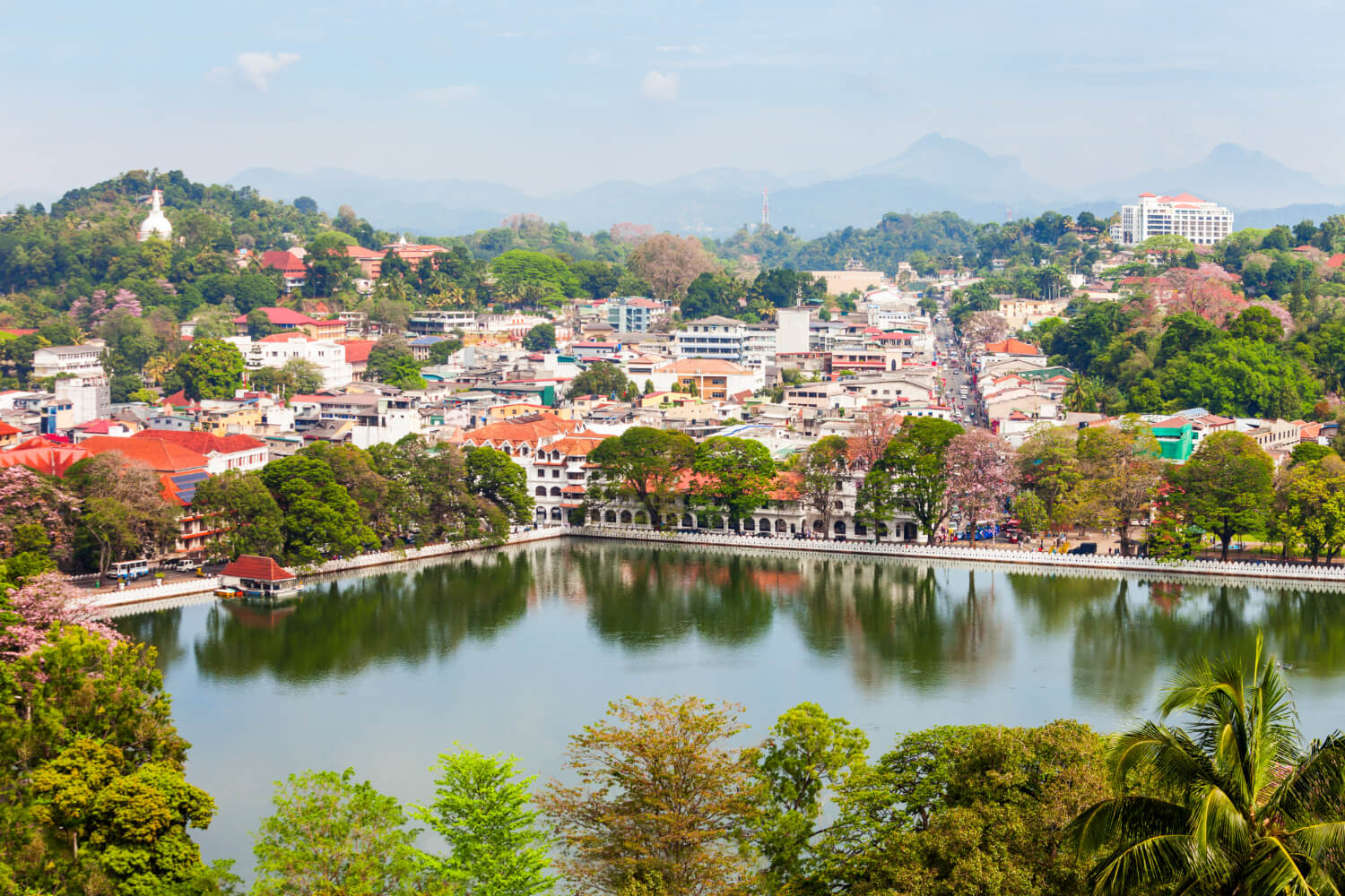 Enchanting Kandy: A Day of Culture, History, and Beauty