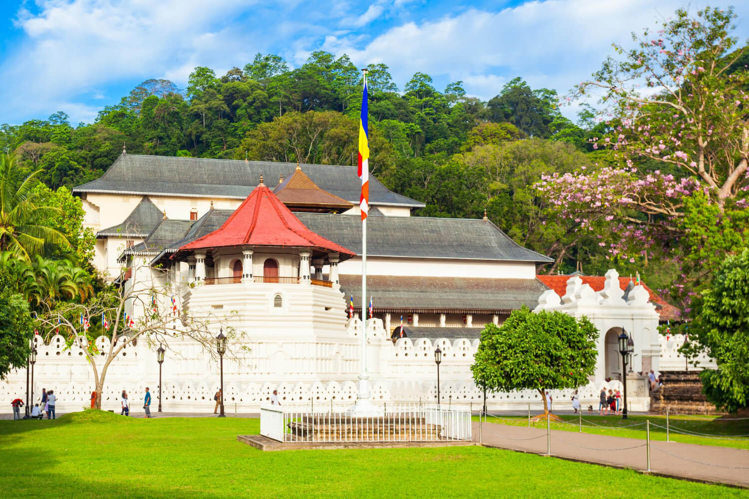 Enchanting Kandy: A Day of Culture, History, and Beauty