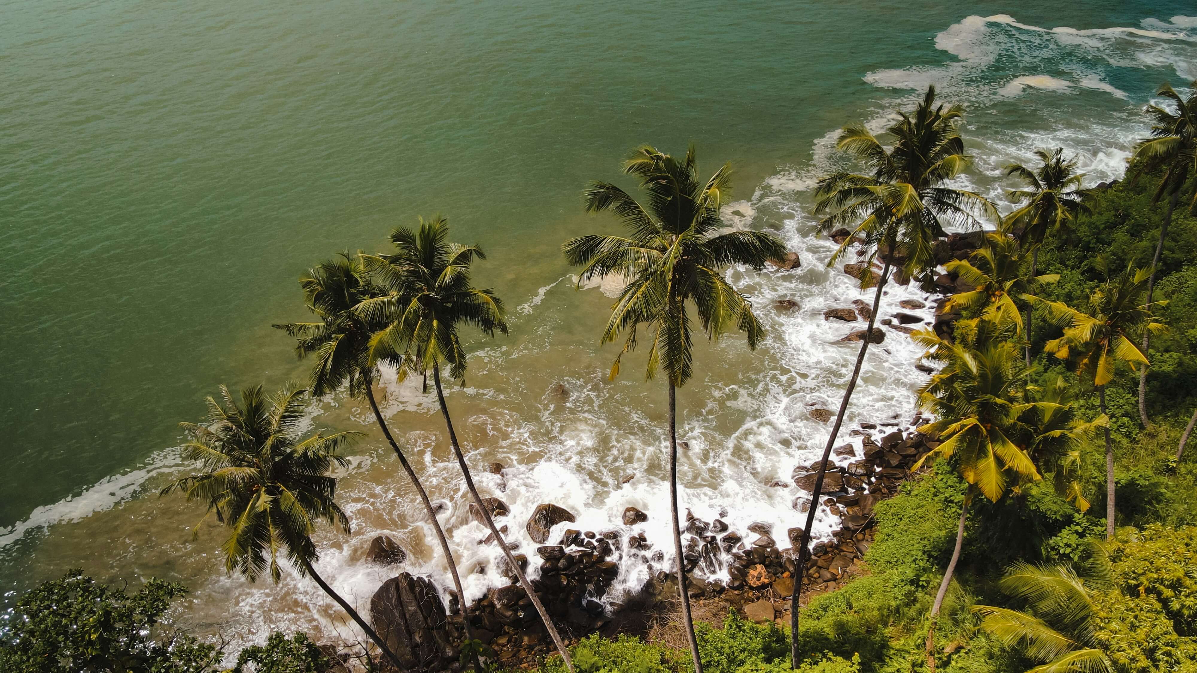 Southern Coastal Splendor: A Day Trip to Galle