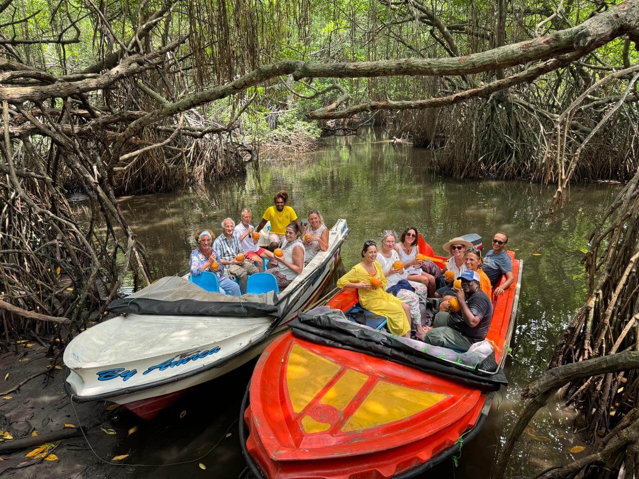 Madu River Adventure: A Day of Scenic Beauty and Relaxation